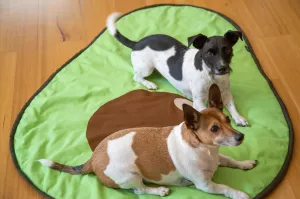 Avocado Shaped Pet Blanket