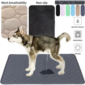 EcoComfort Washable Pee Pad & Pet Blanket