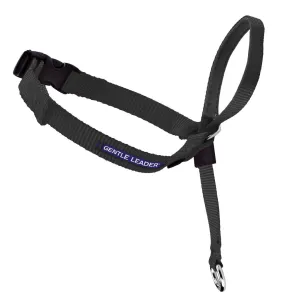 Gentle Leader Head Collar