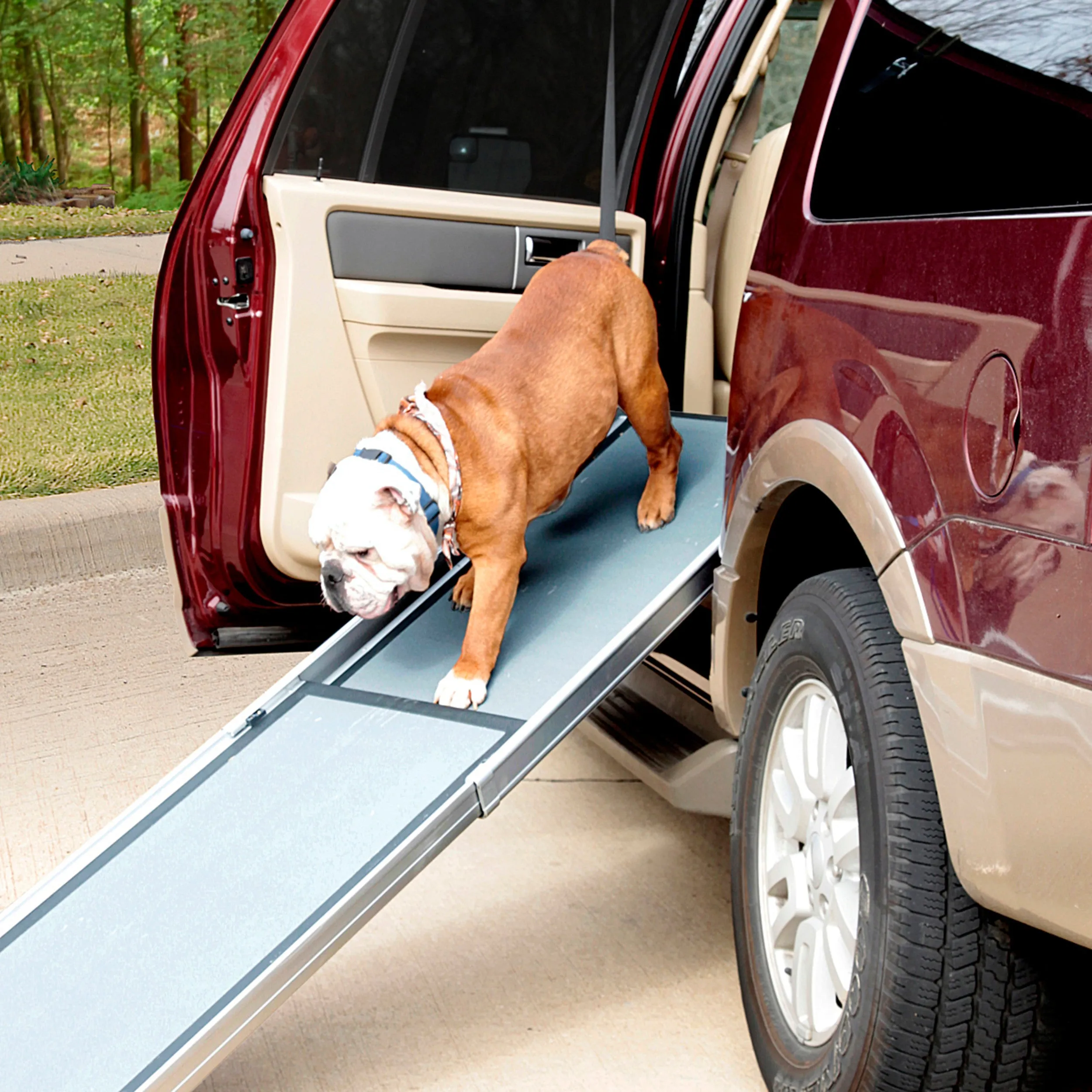 Happy Ride® Dog Ramp Adaptor