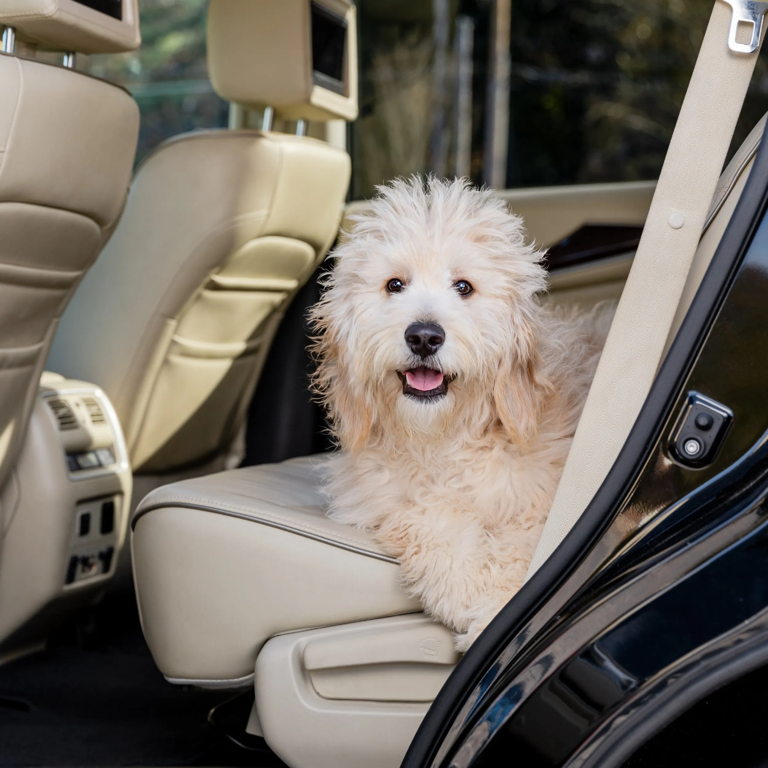 Happy Ride® Dog Ramp Adaptor