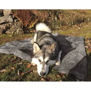 Henry Wag Multimat Travel Throw Dog Rug