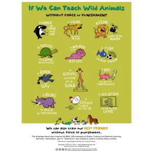 If We Can Teach Wild Animals