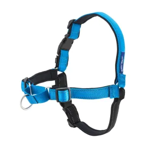 PetSafe - Deluxe Easy Walk Harness - Ocean/Black