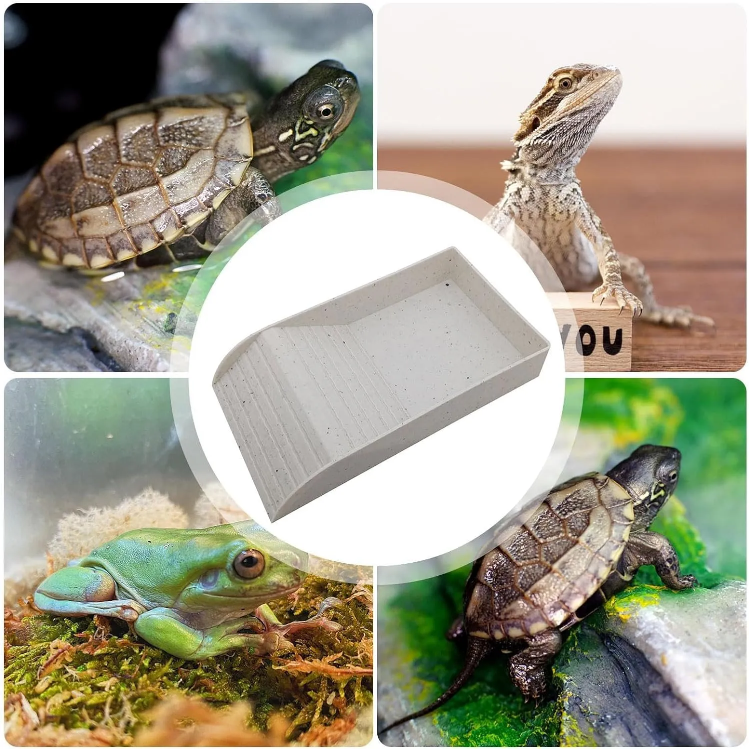 REPTIZOO Multi-Function Tortoise/Lizard Water Dish #GK11