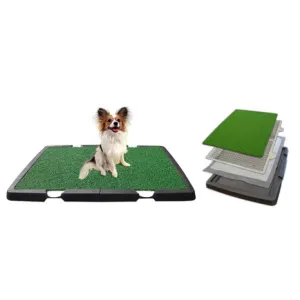 spotty indoor dog potty